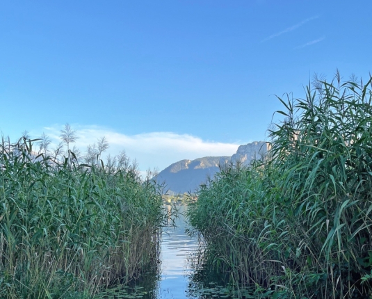 Verkauf von Badeplätzen und Grundstücksanteil im Ortszentrum von Mondsee