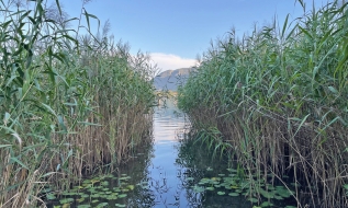 Verkauf von Badeplätzen und Grundstücksanteil im Ortszentrum von Mondsee