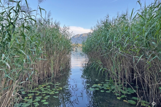 Verkauf von Badeplätzen und Grundstücksanteil im Ortszentrum von Mondsee